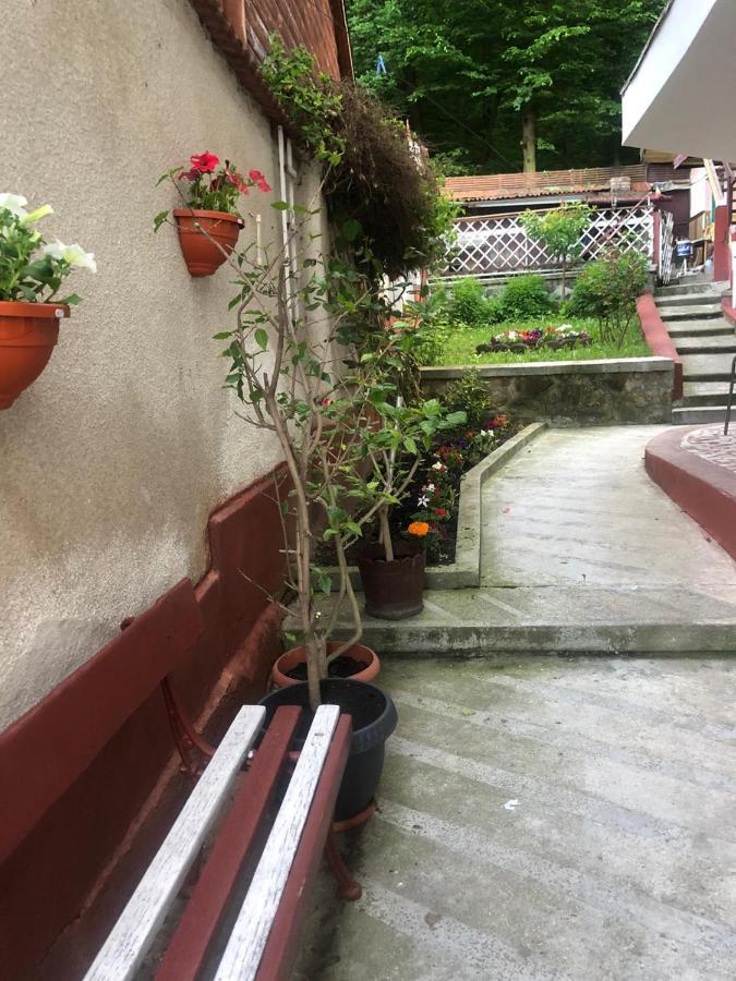 Vila Zeno Брашов Экстерьер фото