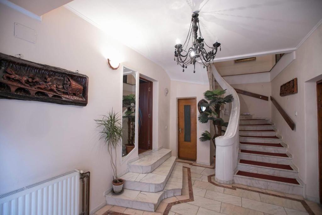 Vila Zeno Брашов Экстерьер фото